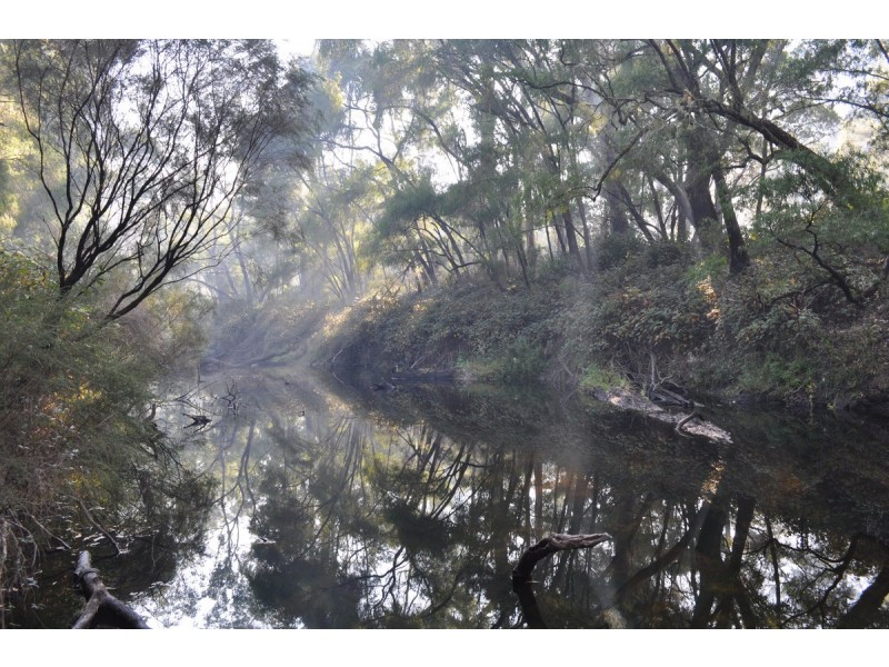 341 Piggott Road (Collins), Pemberton WA 6260