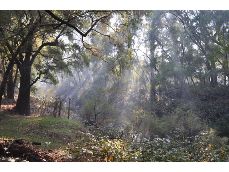 341 Piggott Road (Collins), Pemberton WA 6260