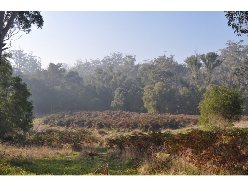 341 Piggott Road (Collins), Pemberton WA 6260