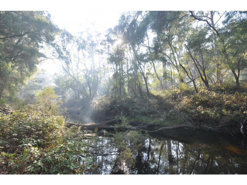 341 Piggott Road (Collins), Pemberton WA 6260