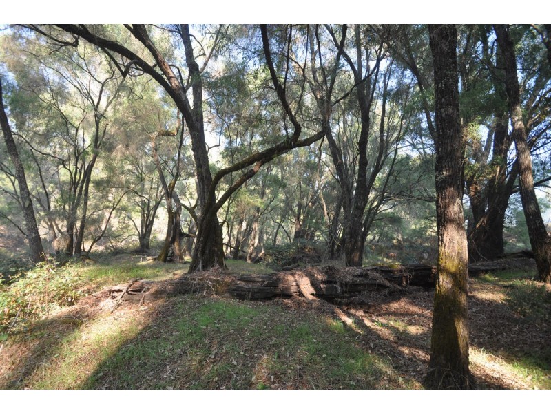 341 Piggott Road (Collins), Pemberton WA 6260