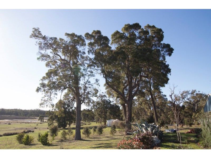 15 Balyan Retreat (Perup), Manjimup WA 6258