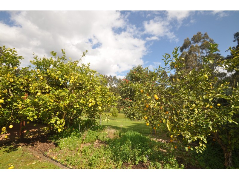 45 Clarrie Jones Place, Pemberton WA 6260