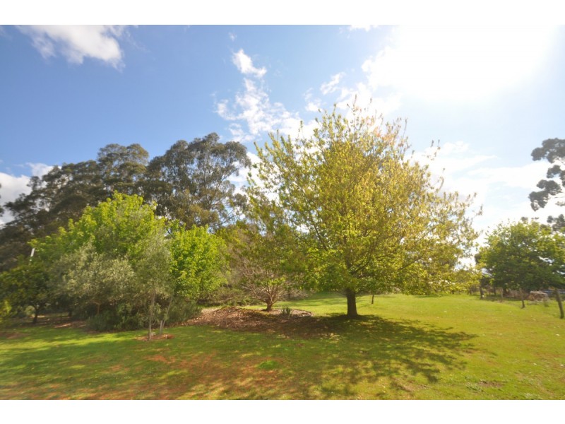 45 Clarrie Jones Place, Pemberton WA 6260