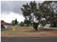 7 Edwards Street, Manjimup WA 6258