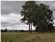 Lot 101 Caniroglen Court, Manjimup WA 6258