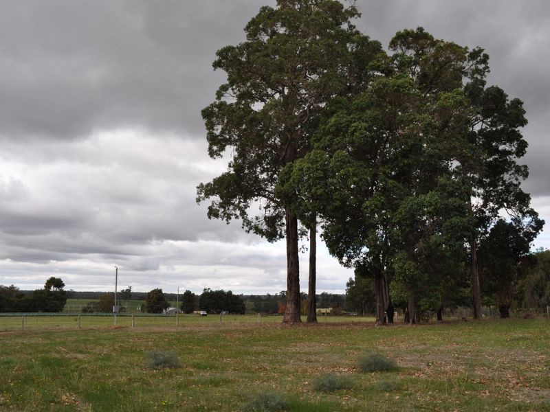 Lot 101 Caniroglen Court, Manjimup WA 6258