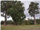 Lot 101 Caniroglen Court, Manjimup WA 6258
