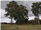 Lot 101 Caniroglen Court, Manjimup WA 6258