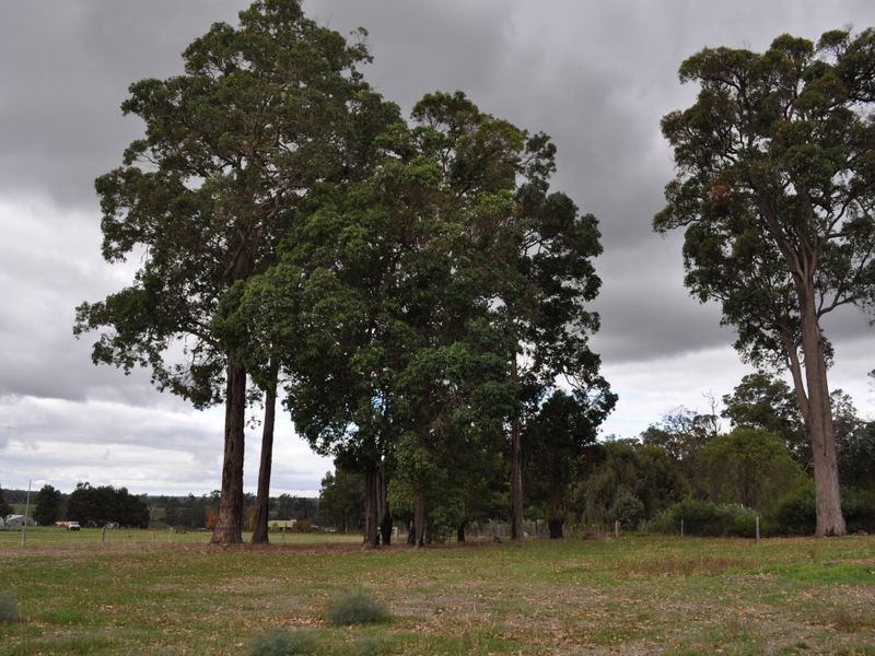 Lot 101 Caniroglen Court, Manjimup WA 6258