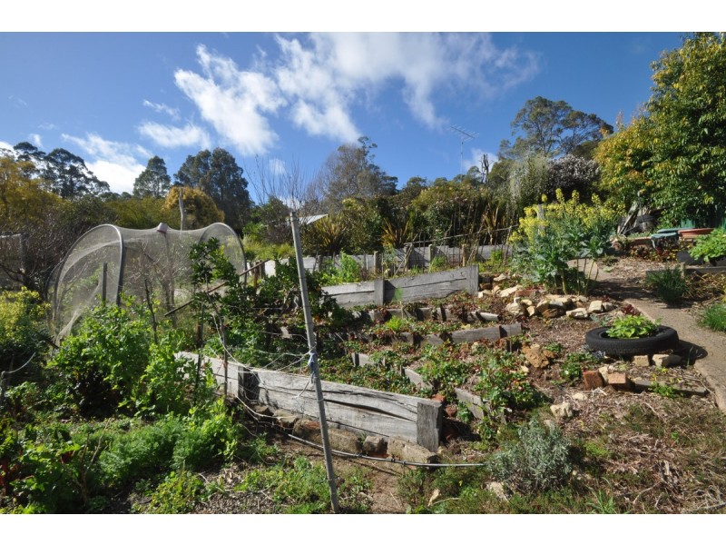 51 Guppy Street, Pemberton WA 6260