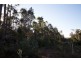 Lot 201 West Boundary Road, Manjimup WA 6258
