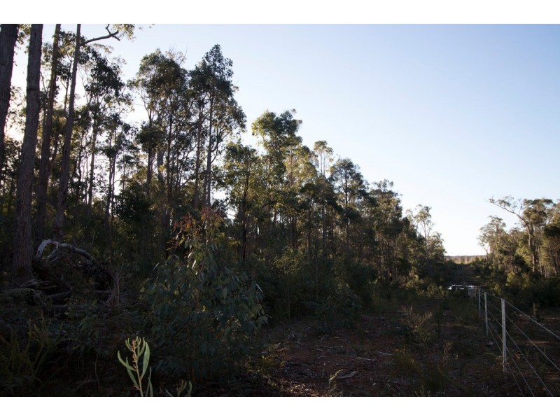 Lot 201 West Boundary Road, Manjimup WA 6258