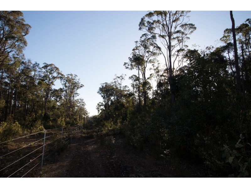 Lot 201 West Boundary Road, Manjimup WA 6258