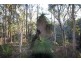 Lot 201 West Boundary Road, Manjimup WA 6258