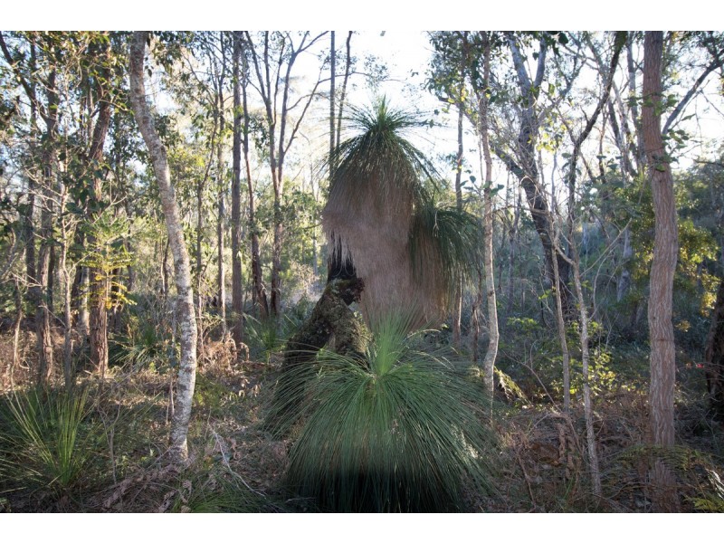 Lot 201 West Boundary Road, Manjimup WA 6258