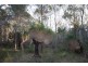 Lot 201 West Boundary Road, Manjimup WA 6258