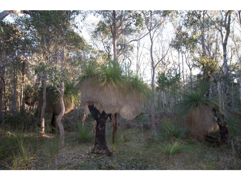 Lot 201 West Boundary Road, Manjimup WA 6258