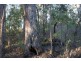 Lot 201 West Boundary Road, Manjimup WA 6258