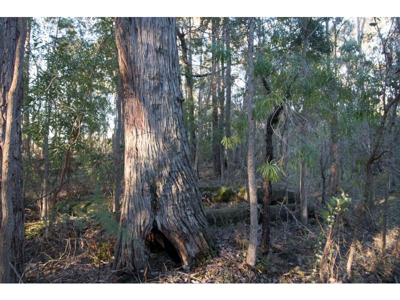 Lot 201 West Boundary Road, Manjimup WA 6258