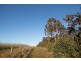 Lot 201 West Boundary Road, Manjimup WA 6258