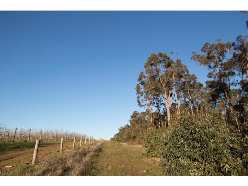 Lot 201 West Boundary Road, Manjimup WA 6258