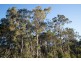 Lot 201 West Boundary Road, Manjimup WA 6258