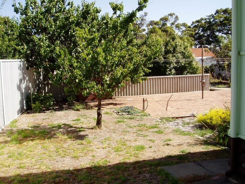 71 Ipsen Street, Manjimup WA 6258