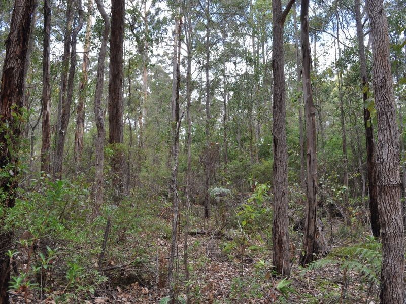 Lot 97 Karri Lane, Quinninup WA 6258