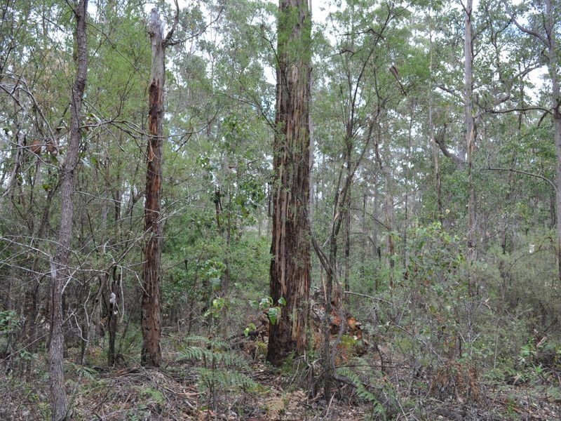 Lot 97 Karri Lane, Quinninup WA 6258