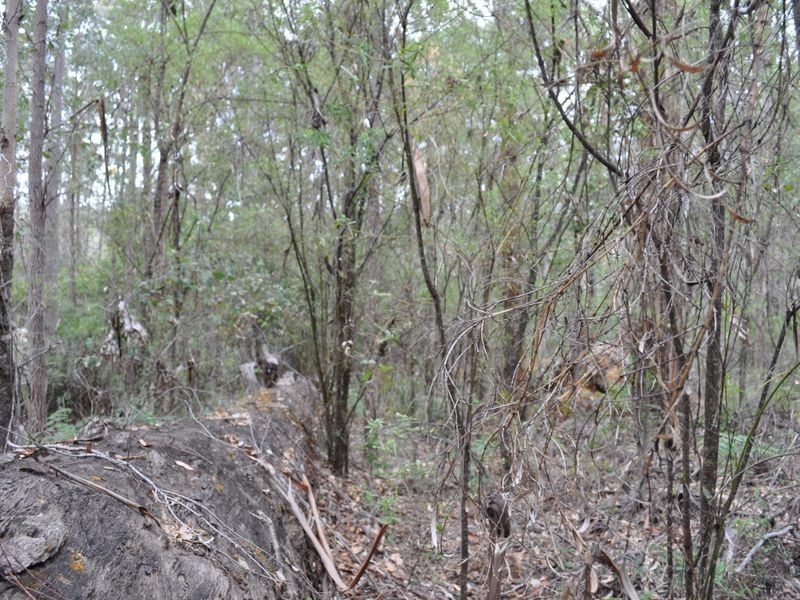 Lot 97 Karri Lane, Quinninup WA 6258