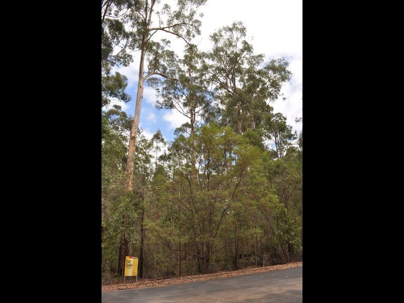 Lot 97 Karri Lane, Quinninup WA 6258