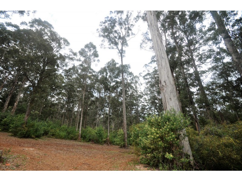 11/713 Pemberton-Northcliffe Road, Pemberton WA 6260