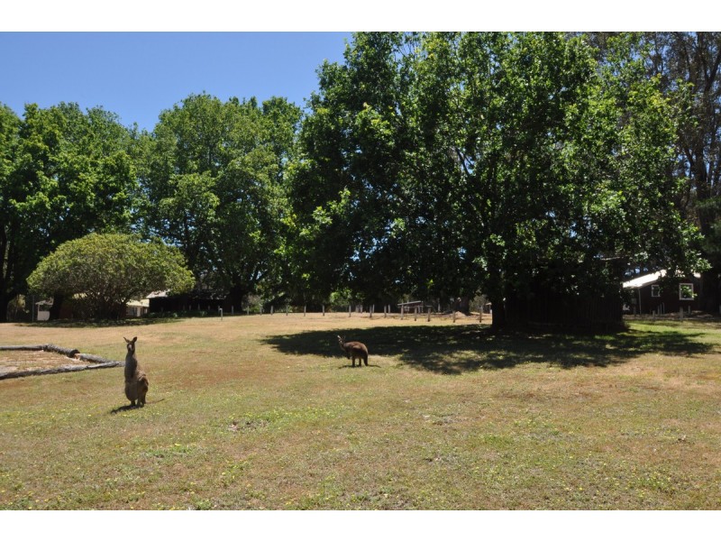 Lot 83 Radburn Road (Lake Muir), Manjimup WA 6258