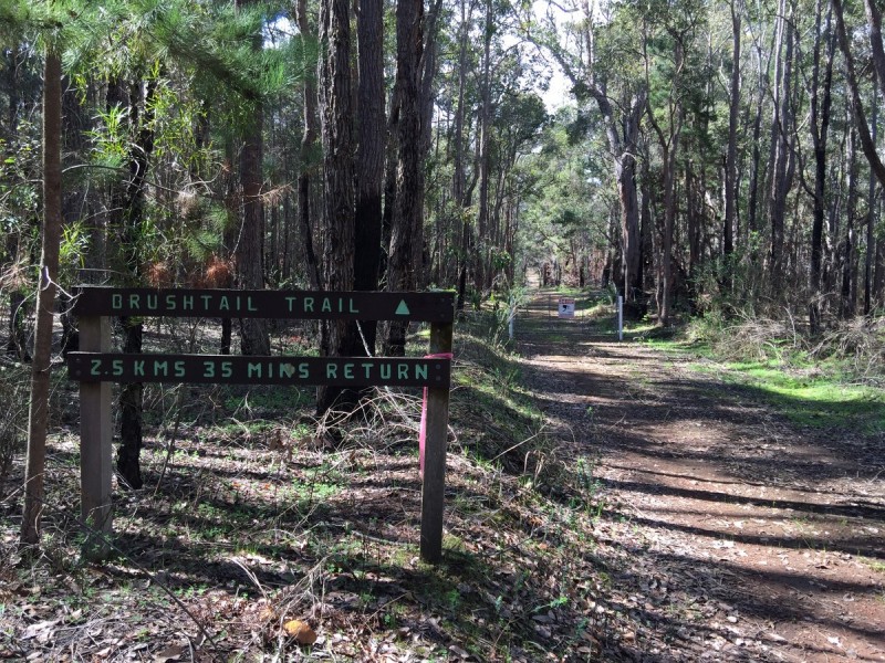 Lot 83 Radburn Road (Lake Muir), Manjimup WA 6258