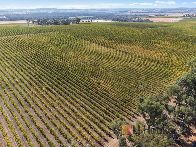 Lot 70 (No Shepherd Road, Frankland WA 6396