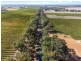 Lot 70 (No Shepherd Road, Frankland WA 6396