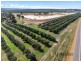 Lot 70 (No Shepherd Road, Frankland WA 6396