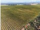 Lot 70 (No Shepherd Road, Frankland WA 6396