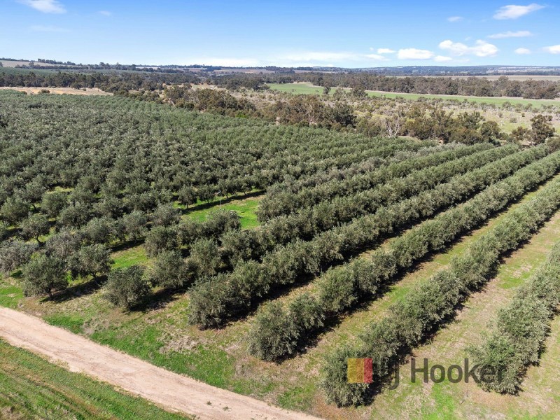 Lot 70 (No Shepherd Road, Frankland WA 6396