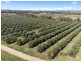 Lot 70 (No Shepherd Road, Frankland WA 6396