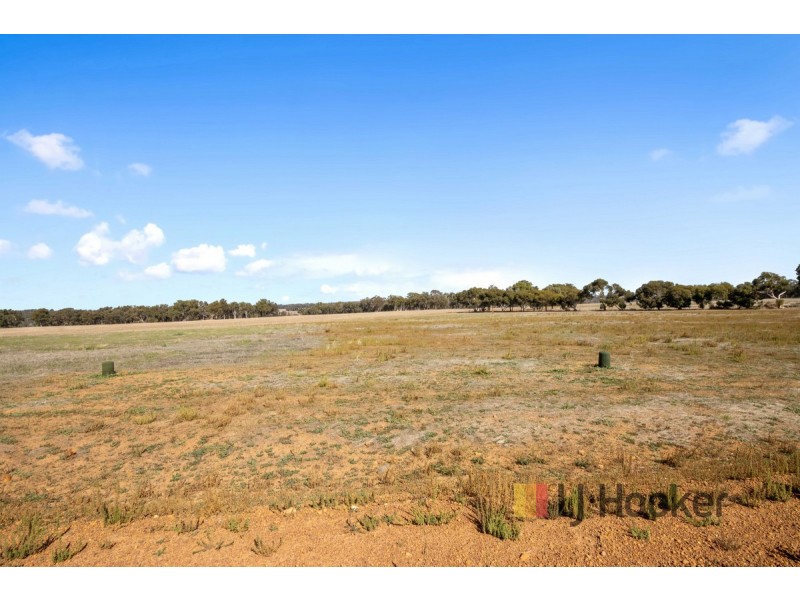 Lot 70 (No Shepherd Road, Frankland WA 6396