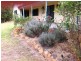 14 Caniroglen Court, Manjimup WA 6258