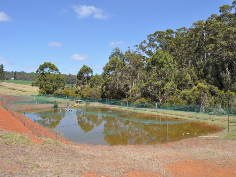 Lot 11 Roberts Road, Pemberton WA 6260