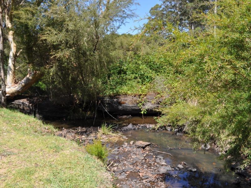 Lot 11 Roberts Road, Pemberton WA 6260