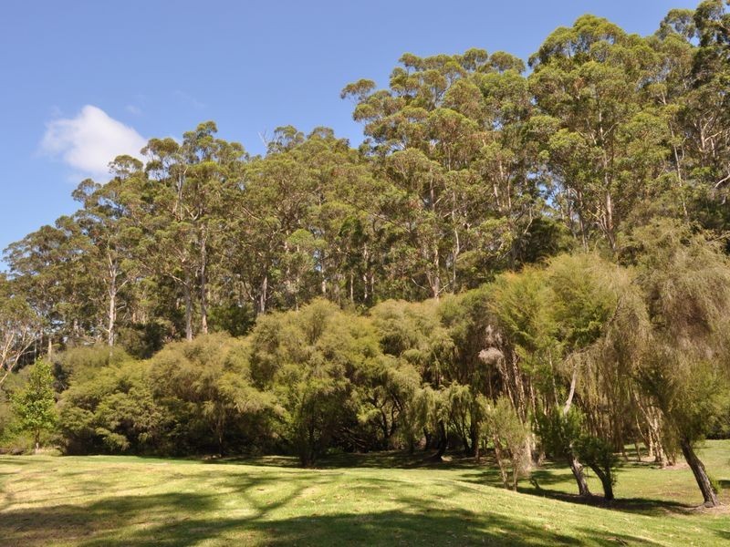 Lot 11 Roberts Road, Pemberton WA 6260