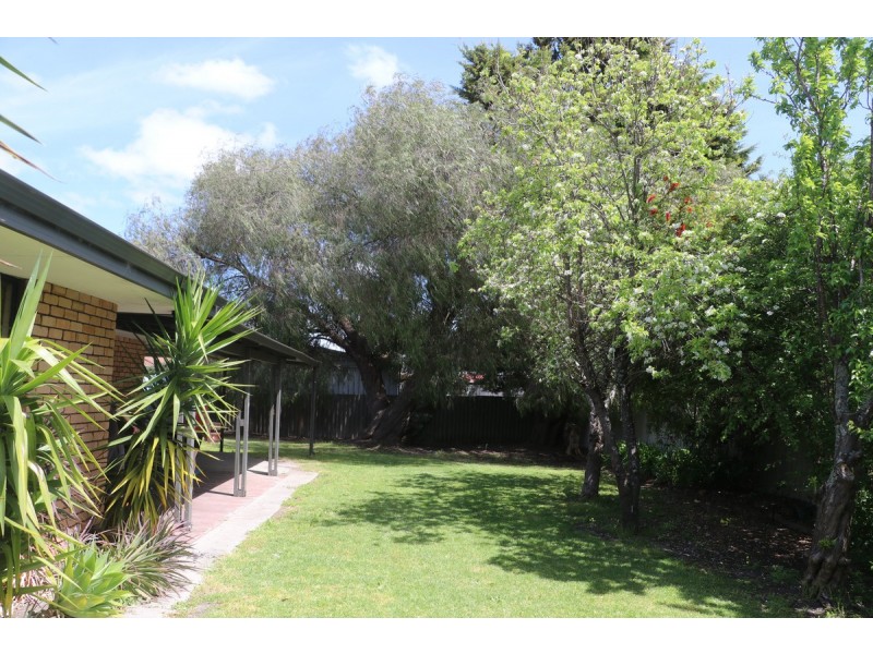 19 Ironbark Street, Manjimup WA 6258