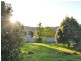 43 Jamieson Street, Pemberton WA 6260