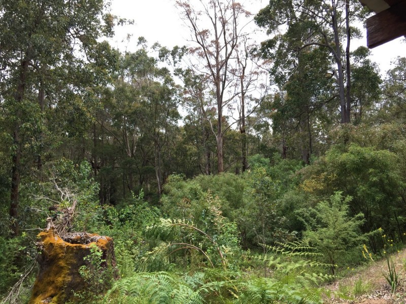 4/713 Pemberton-Northcliffe Road (Crowea), Pemberton WA 6260