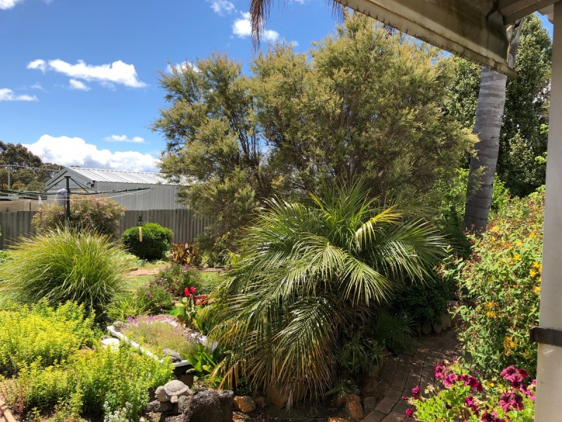 22 Reeve Street, Manjimup WA 6258